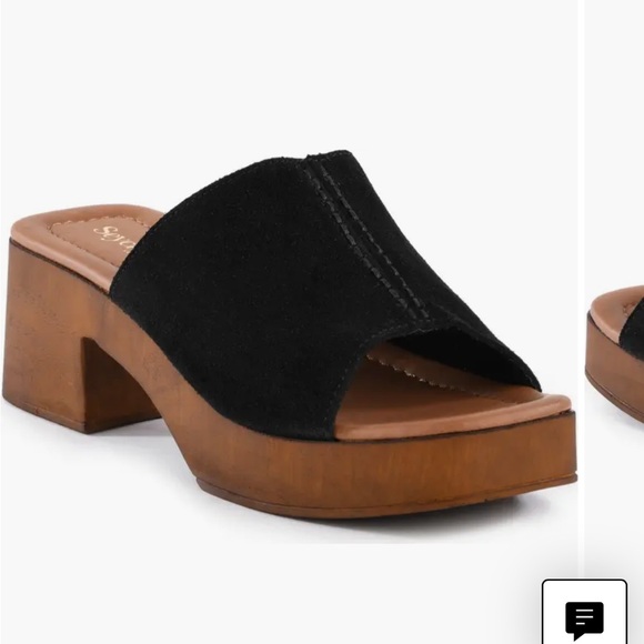 Seychelles Shoes - Seychelles Black and Brown Mules with Chunky Heel